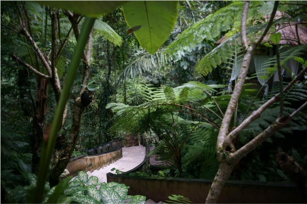 Alam Ubud Culture Villas & Residences image 2